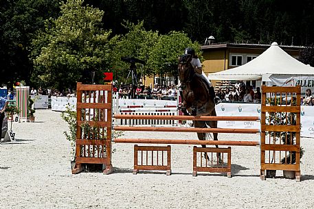 Horse Show